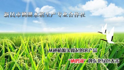新民市鹤湖水稻生产专业合作社